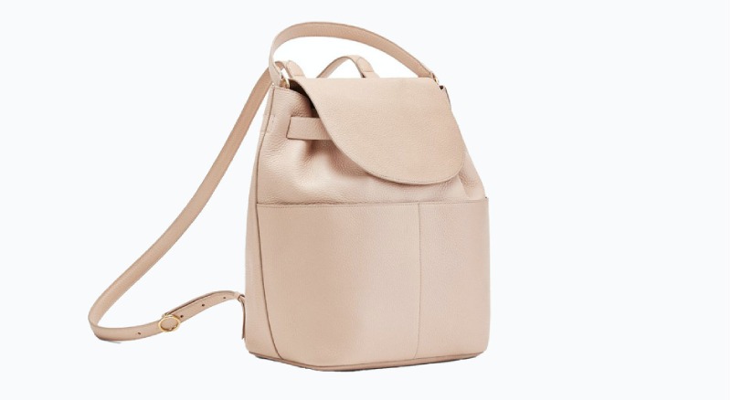 Cuyana Leather Backpack