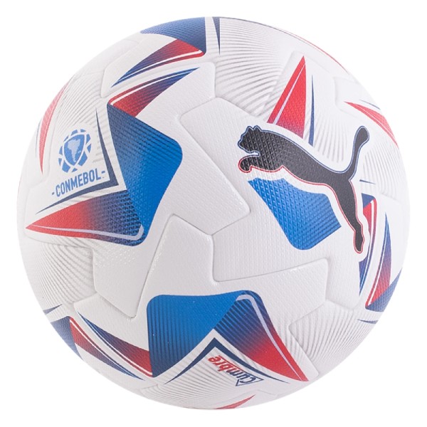 FIFA Quality Pro Soccer Ball