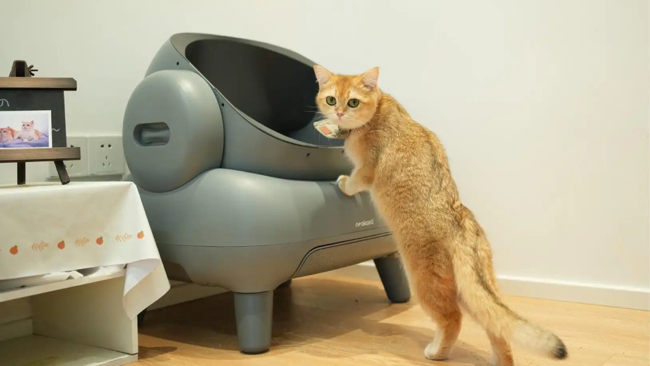 The Neakasa US: A Glimpse into Smart Pet and Home Care